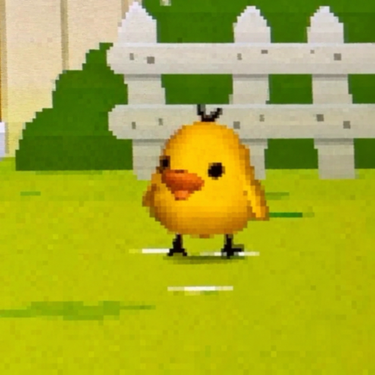 Chiklet in the yard with a bead counter and sunflower seeds